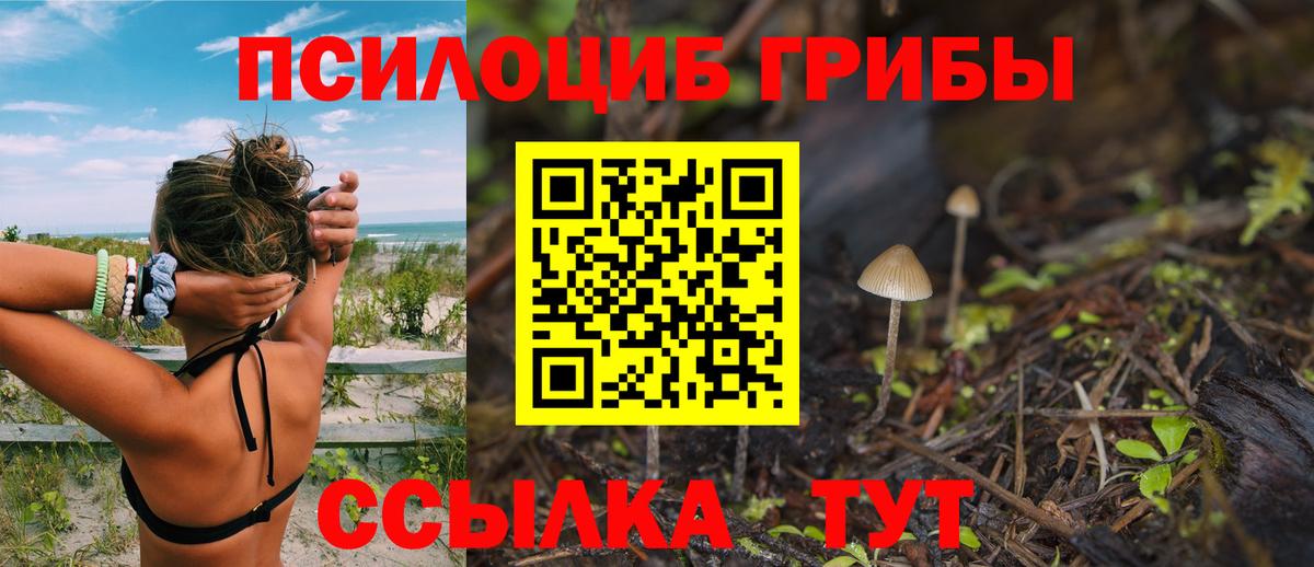 Галлюциногенные грибы MAGIC MUSHROOMS  Вход с VPN  Ишим 