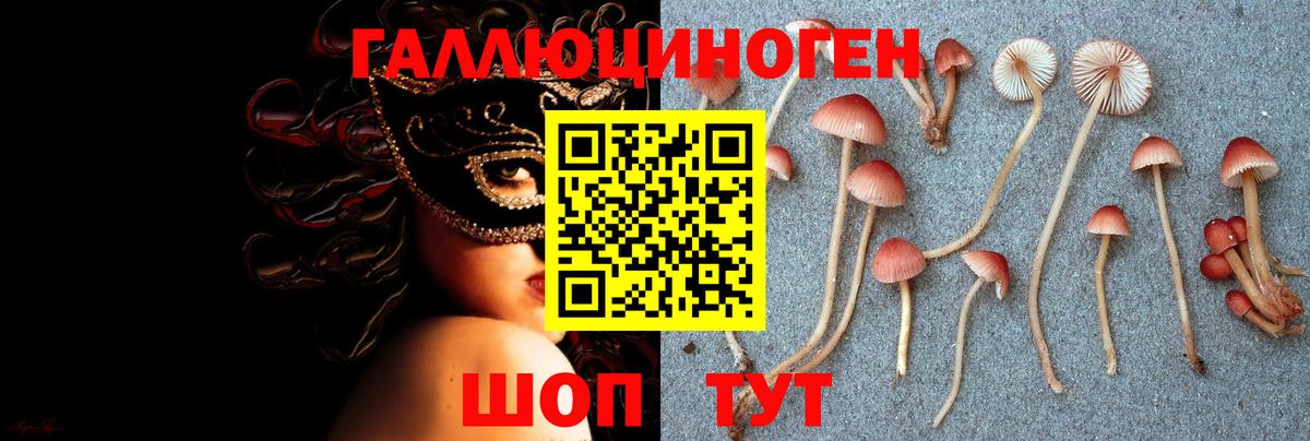 Псилоцибиновые грибы мицелий Ишим